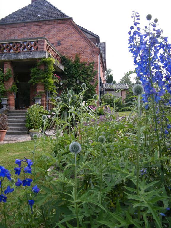 Gutshaus Daemelow Tussen Schwerin En Wismar Экстерьер фото